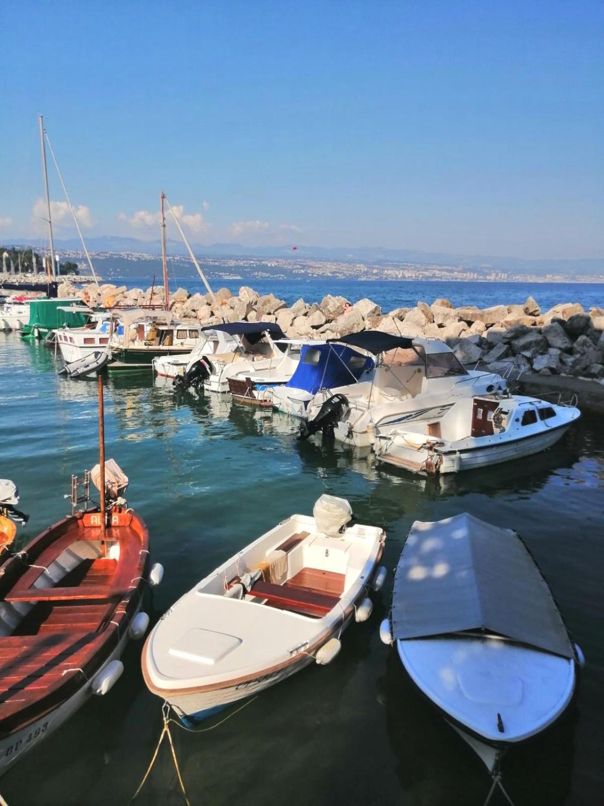 Cozy Bosnjak Near Opatija, With Sea View Terrace, Air Condition, Free Private Parking *